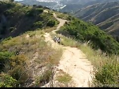 Pixies Peak Experience